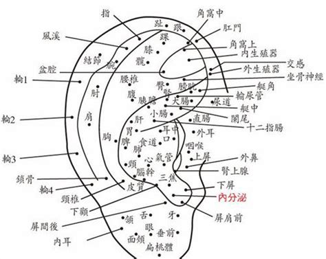 耳朵裡面長痣|面相：耳朵有痣算命圖解，全位置對照，看看你是哪一。